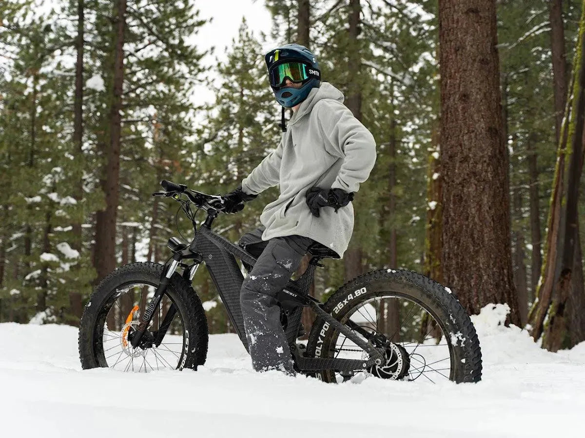 Himiway D7 / Full Suspension Electric Hunting Bike