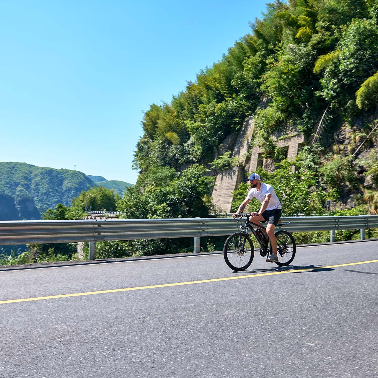 Viribus Panther Electric Mountain Bike