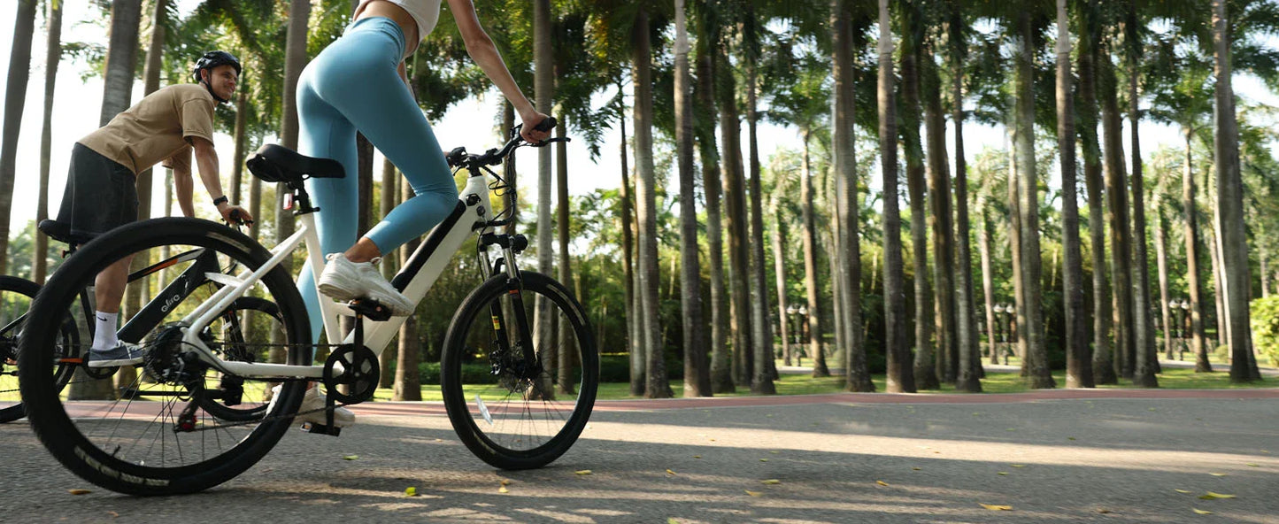 eBike Boys 750W Electric Bike - Step-Through Frame, 36V Battery