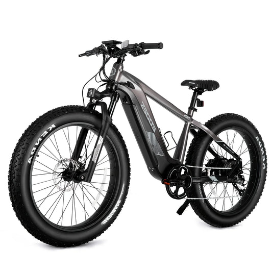 High-Quality eBike with 52V 750W Motor - 17AH Long Range