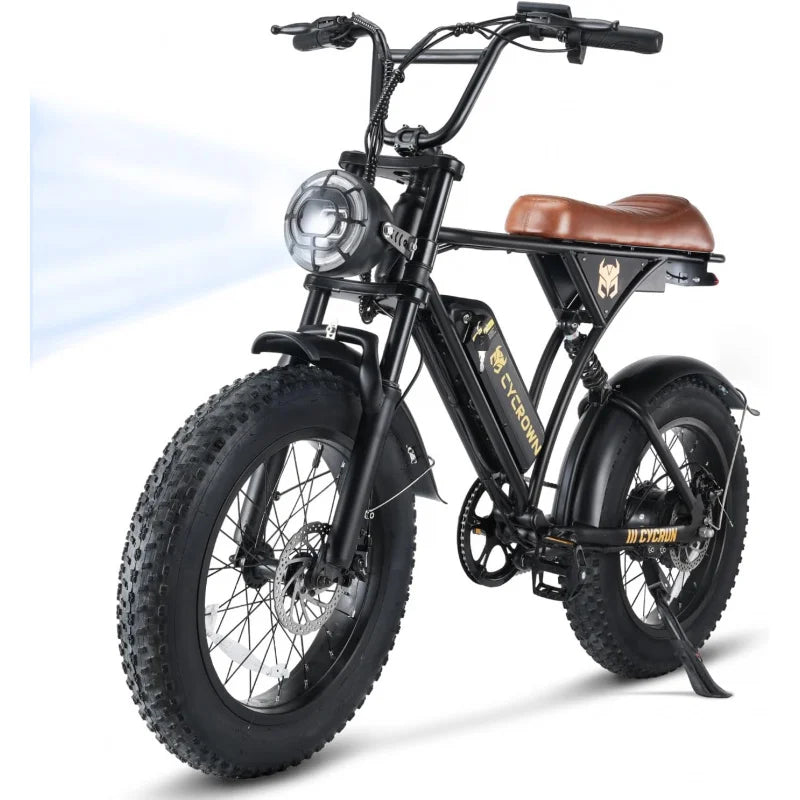 Adult Electric Bike 750W Motor 374.4Wh Battery 20" Fat Tires 55 Mile Range