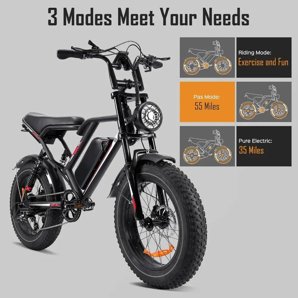 Adult Electric Bike: 1000/3000W Motor + 48V Removable Battery