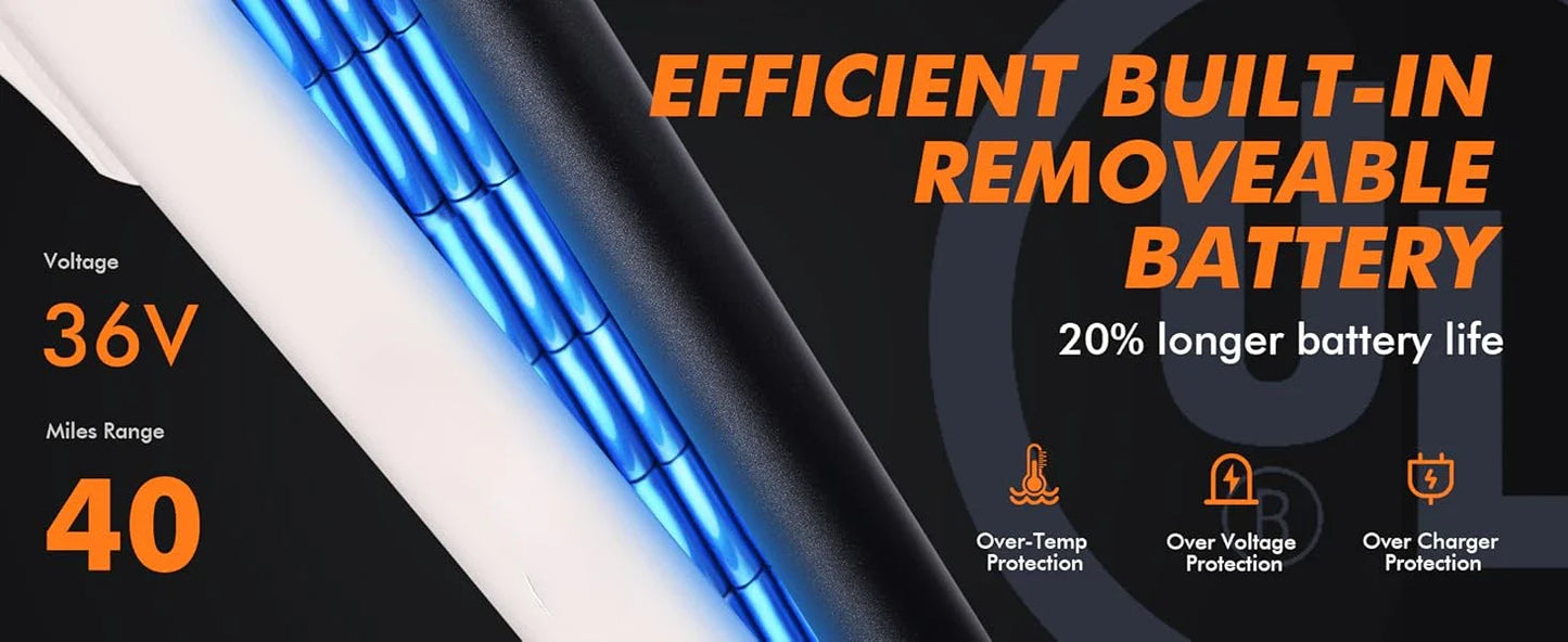 eBike Boys 750W Electric Bike - Step-Through Frame, 36V Battery