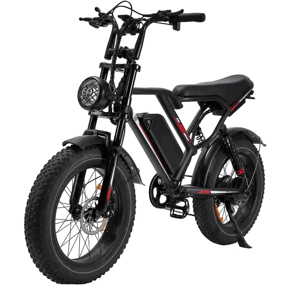 Adult Electric Bike: 1000/3000W Motor + 48V Removable Battery