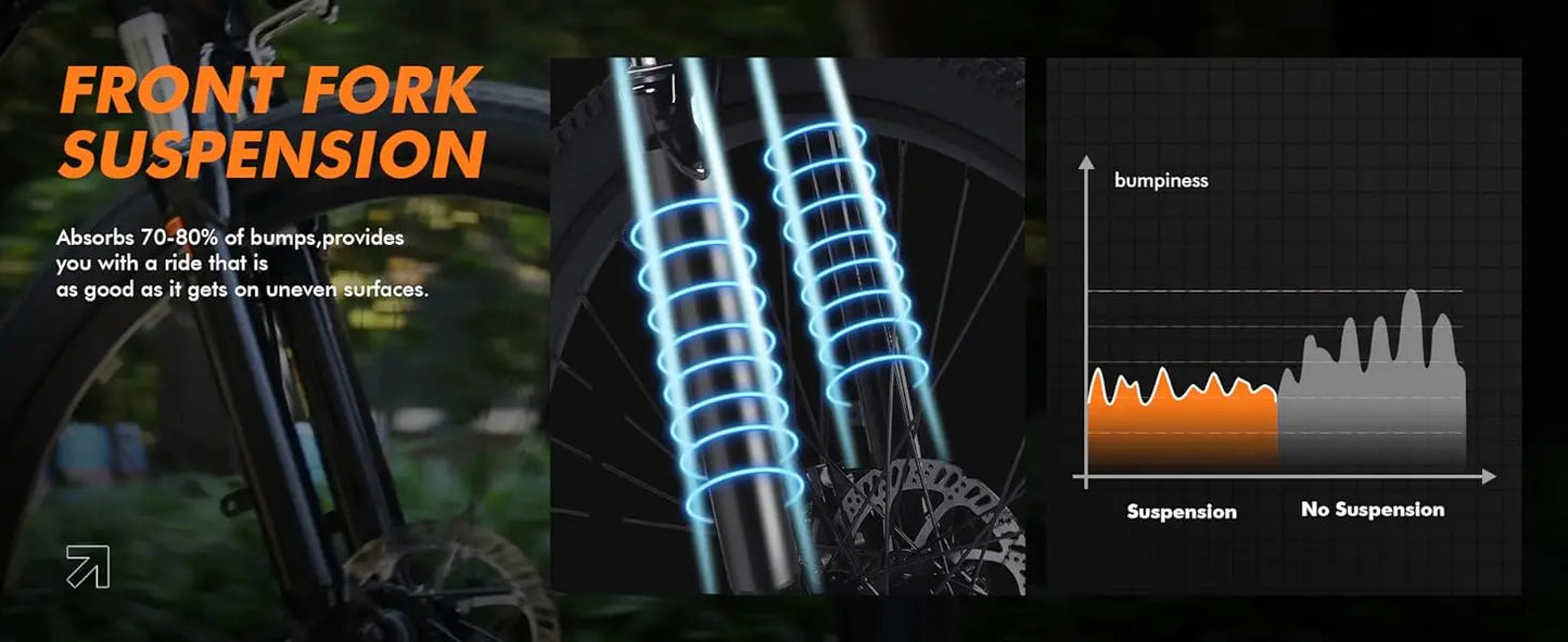 eBike Boys 750W Electric Bike - Step-Through Frame, 36V Battery