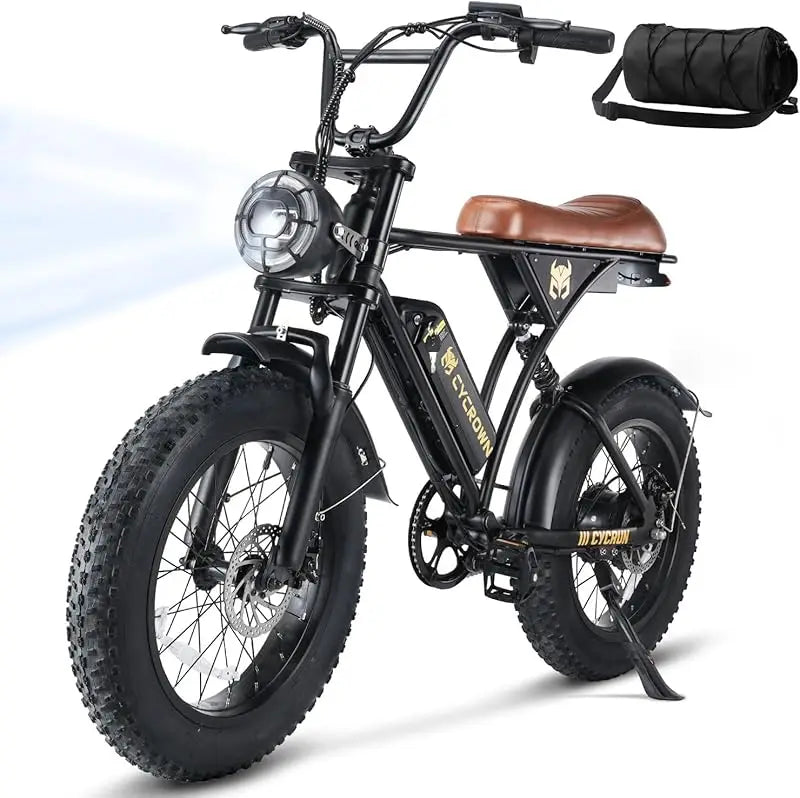 Adult Electric Bike 750W Motor 374.4Wh Battery 20" Fat Tires 55 Mile Range