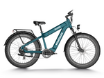 Himiway D5 Rhino (Plus/Ultra) Dual Battery Off-Road E-Bike