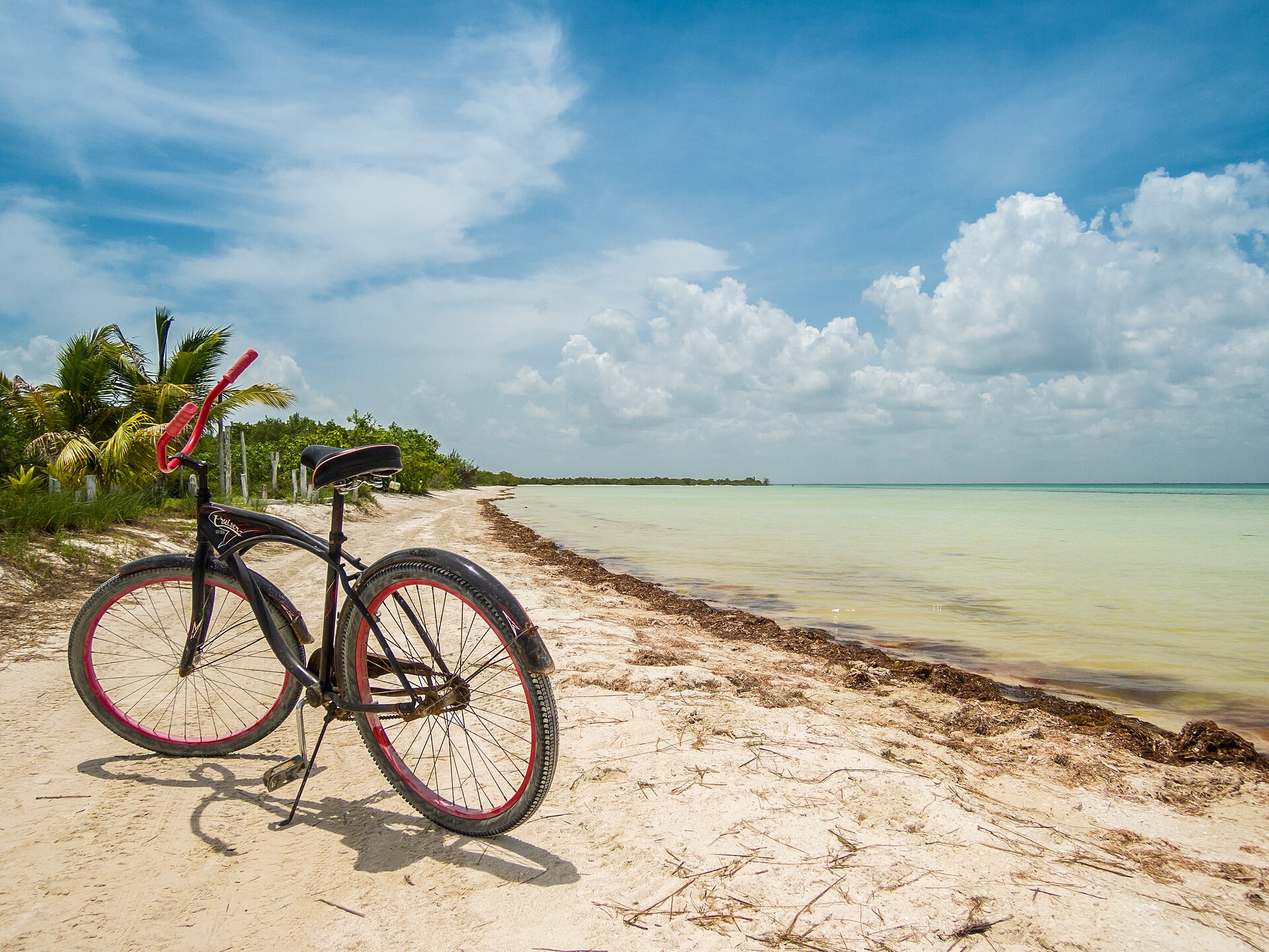 Beach Cruisers