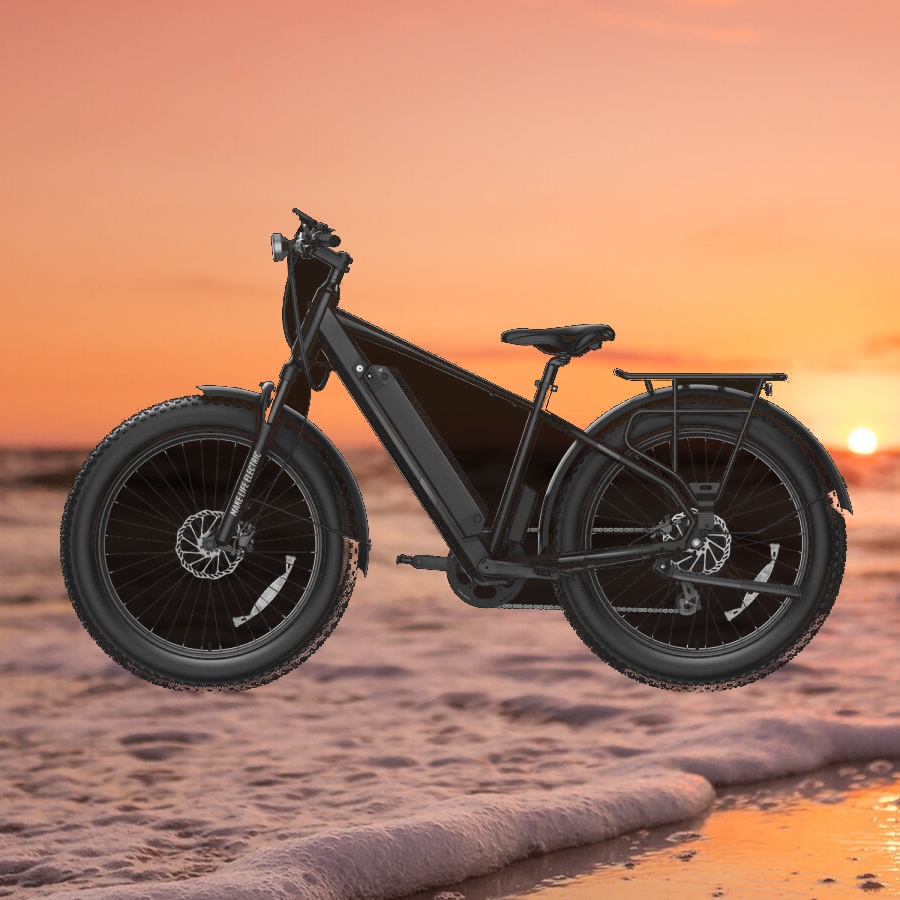 NIU BQi Fat Tire