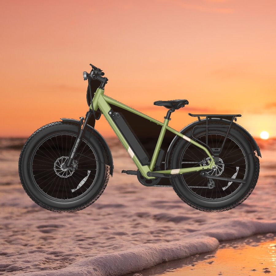 NIU BQi Fat Tire