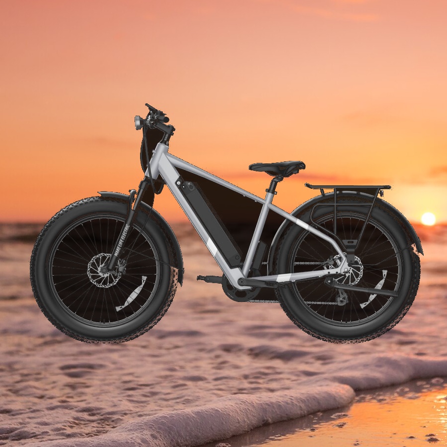 NIU BQi Fat Tire